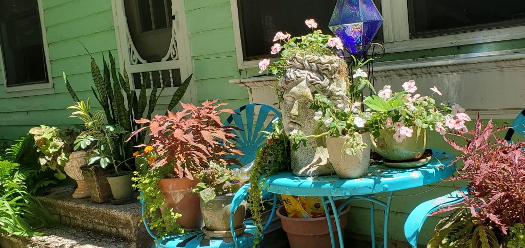 Psychic Plant-a-holic